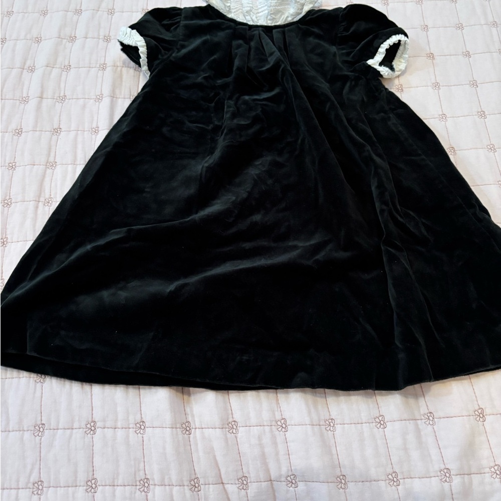 Edgehill Collection Black Velvet Dress with White Accents